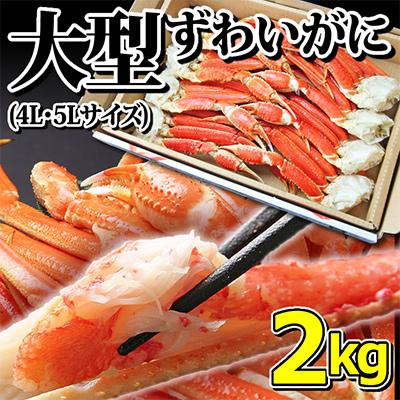 ふるさと納税 亘理町 大型ずわいがに 脚 2kg 4L・5Lサイズ(6〜7肩入)