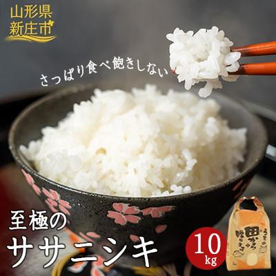 ふるさと納税 新庄市 至極のササニシキ 10kg