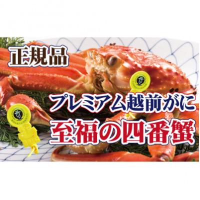 ふるさと納税 越前町 四番蟹 至福のプレミアム越前がに × 1杯 ≪浜茹で≫[2・3月発送分]