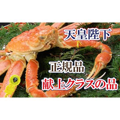 ふるさと納税 越前町 桐箱入り!皇室献上級 誉れ高き越前がに ×1杯 ≪生≫[2・3月発送分]