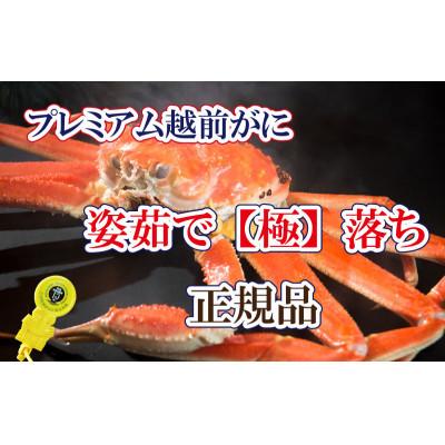 ふるさと納税 越前町 桐箱入り!越前の宝[極]落ち プレミアム越前がに × 1杯 ≪浜茹で≫[2・3月発送分]