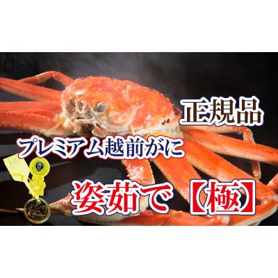 ふるさと納税 越前町 桐箱入り!完全なる越前がに[極]越前がにの皇帝 × 1杯 ≪浜茹で≫[2・3月発送分]