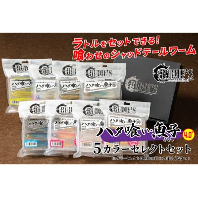 ふるさと納税 飯塚市 RUDIE`Sのハタ喰い・魚子 4.0inch 5カラーセレクトセット 釣り具 ルアー