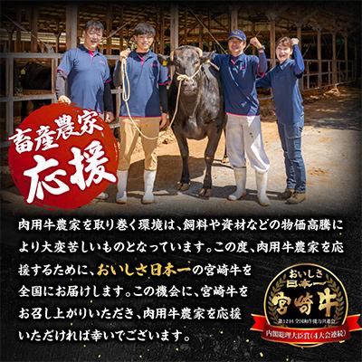 ふるさと納税 宮崎市 【畜産農家応援】宮崎牛ロースステーキ 250g×2枚 計500g |  | 02