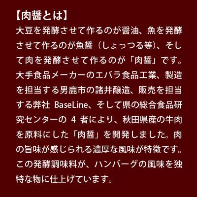 ふるさと納税 横手市 【ドンと190g】秋田肉醤ハンバーグ4種詰め合わせ190g×4種(各3個)計12個 生ハンバーグ_2