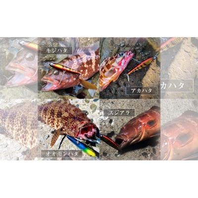 ふるさと納税 飯塚市 RUDIE'Sの魚極ペン85(18g)セレクト3個セット 釣り