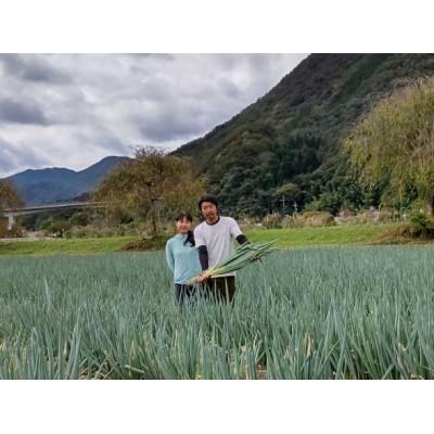 ふるさと納税 朝来市 特別栽培・岩津ねぎ 2Lサイズ/1.2kg