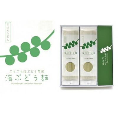 ふるさと納税 糸満市 海ぶどう麺&lt;12食セット&gt;