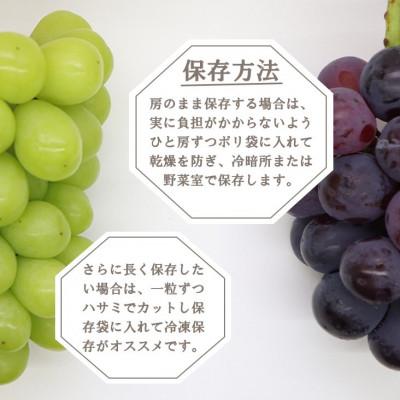 ふるさと納税 山梨市 2027年発送 先行受付 大人気ぶどう2種盛り合わせ　シャインマスカット・ピオーネ　計1kg以上 |  | 03