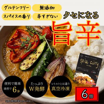 ふるさと納税 白山市 発酵スパイスカレー6個 ★白山麓のW発酵とスパイス5種 クセになる旨辛 グルテンフリー&amp;無添加