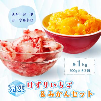 ふるさと納税 御前崎市 けずりいちご・みかんセット500g入り 各2セット