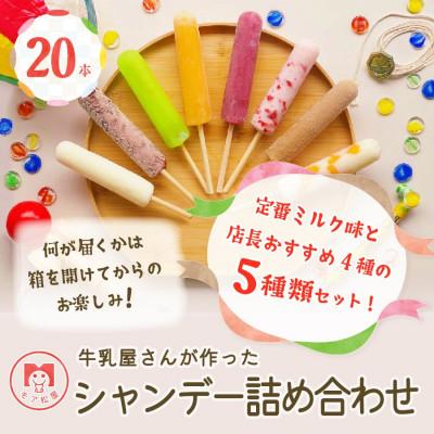 ふるさと納税 羽生市 牛乳屋さんが作った アイスキャンディー詰め合わせ | 20本入り