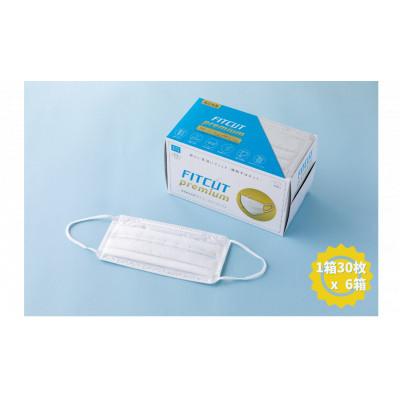 ふるさと納税 島田市 静岡県島田市 国産プレミアムマスク ふつうサイズ 30枚×6箱