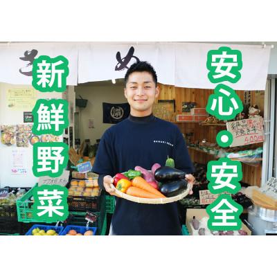 ふるさと納税 岸和田市 大阪泉州産旬のぎゅうぎゅう野菜セット |  | 02