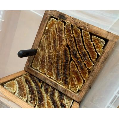 ふるさと納税 豊前市 日本ミツバチの蜂蜜(ギフトセット150g×2本)の画像