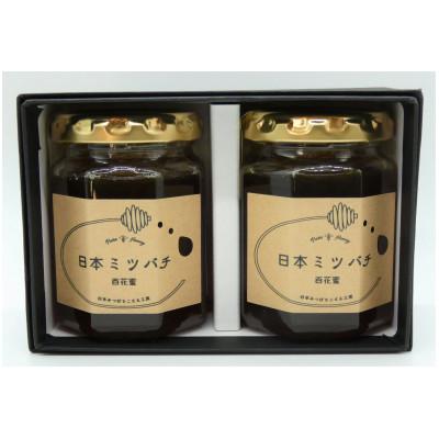 ふるさと納税 豊前市 日本ミツバチの蜂蜜(ギフトセット150g×2本)の画像