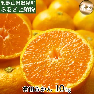 ふるさと納税 湯浅町 有田みかん 10kg 秀品 サイズおまかせ