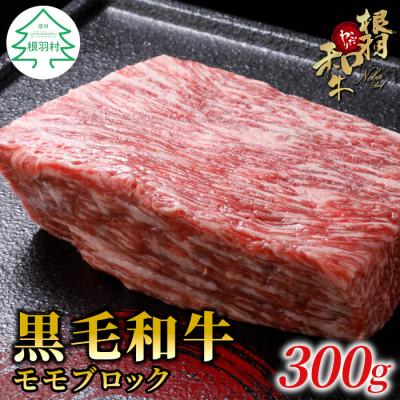 ふるさと納税 根羽村 ローストビーフに大人気!根羽こだわり和牛 モモブロック 300g