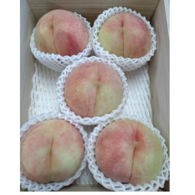 ふるさと納税 中山町 山形県産 白桃 桐箱 2kg5〜8玉 [品種おまかせ]