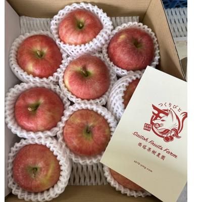 ふるさと納税 中山町 山形県産 りんご[こうとく]秀2kg