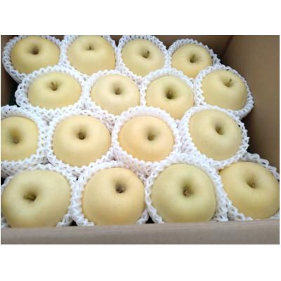 ふるさと納税 中山町 山形県産 りんご[はるか]秀5kg