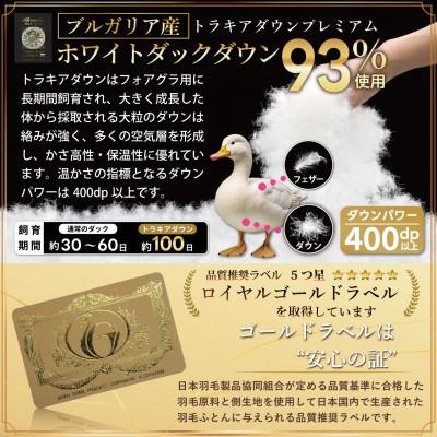 ふるさと納税 韮崎市 洗える羽毛布団 合掛けシングル 春秋 中厚0.8kg 無地グレー ホワイトダックダウン93%抗菌防臭の画像