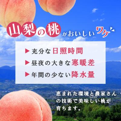 ふるさと納税 笛吹市 2026年先行受付 日本一の生産量 山梨県 笛吹市産 桃 2kg以上(5玉~8玉) フルーツの画像