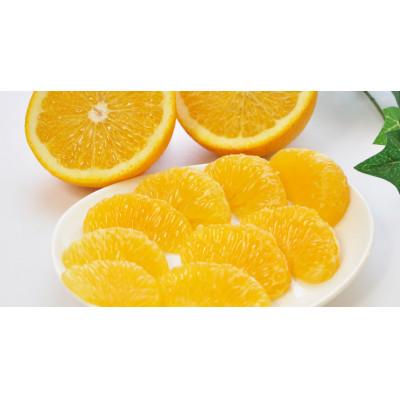 ふるさと納税 和歌山市 ご家庭用八朔 約5kg