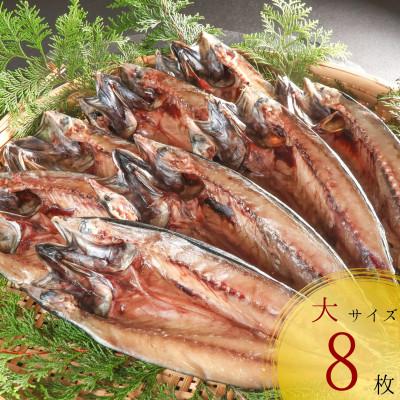 ふるさと納税 せたな町 [北海道産]塩さば一夜干し開き大サイズ 300g×8枚(真空パック入り干物)
