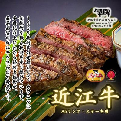 ふるさと納税 大津市 【A5ランク近江牛】ブロック肉 極上ヒレ(600g
