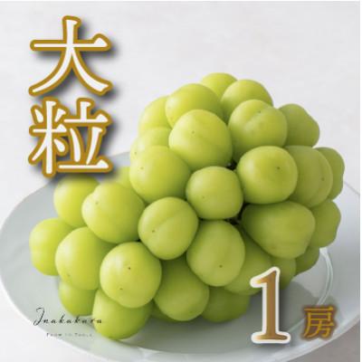 ふるさと納税 笛吹市 [笛吹市一宮町産] Inakakara 大粒&amp;大房 シャインマスカット1房