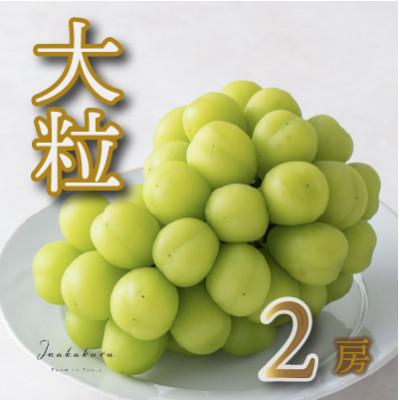 ふるさと納税 笛吹市 [笛吹市一宮町産]Inakakara大粒シャインマスカット2房