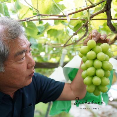 ふるさと納税 笛吹市 【笛吹市一宮町産】Inakakara大粒シャインマスカット2房の画像