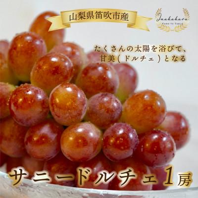 ふるさと納税 笛吹市 Inakakara厳選! 希少な大粒サニードルチェ1房