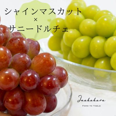 ふるさと納税 笛吹市 Inakakara 一宮町産大房シャインマスカットと大房サニードルチェ(計2房)