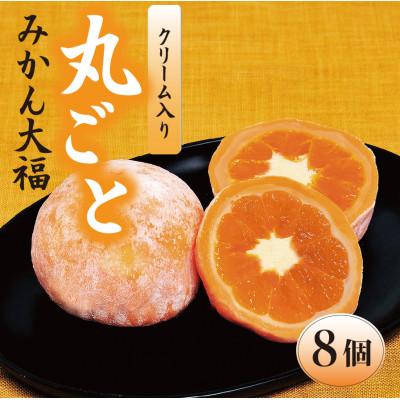 ふるさと納税 川俣町 丸ごとみかん大福 1箱8個入り