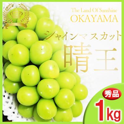 ふるさと納税 備前市 岡山県産シャインマスカット晴王 1kg