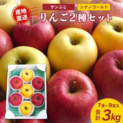 ふるさと納税 寒河江市 [2025年産]山形県産 りんご2種セット(サンふじ シナノゴールド) 3kg