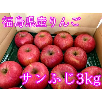 ふるさと納税 須賀川市 福島県産のりんご サンふじ3kg(8〜12玉)