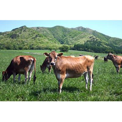 ふるさと納税 宮城県 【 リピーター続出!! 】超濃厚ヨーグルト酒　720ml×2本 |  | 03