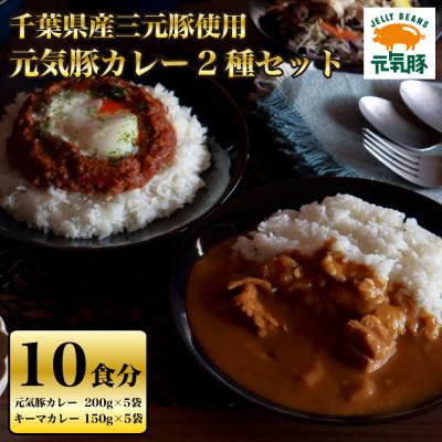 ふるさと納税 多古町 元気豚カレー2種セット(元気豚カレー 5P、キーマカレー 5P 計10食分)[保存食・備蓄・ギフト]
