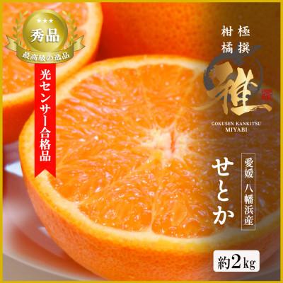 ふるさと納税 八幡浜市 極撰柑橘[雅]光センサー合格品・柑橘の大トロ「 せとか 」約2キロ [C39-47]