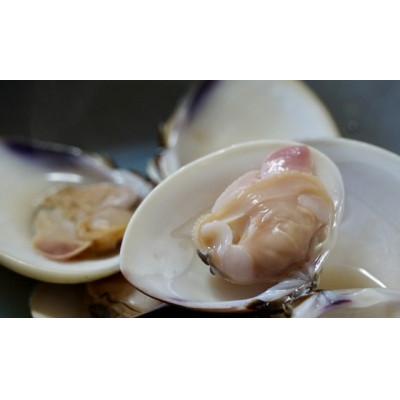 ふるさと納税 旭市 開いちゃいました♪九十九里産酒蒸し蛤(冷凍)　300g×4袋 |  | 03