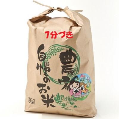 ふるさと納税 糸魚川市 新潟県産 糸魚川産 令和7年産 コシヒカリ 100% 精米 5kg 7分づき