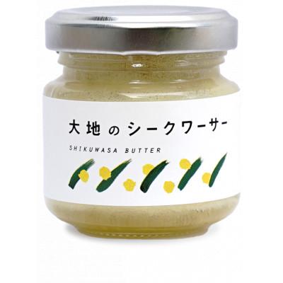 ふるさと納税 糸満市 大地のシークワーサー 2箱