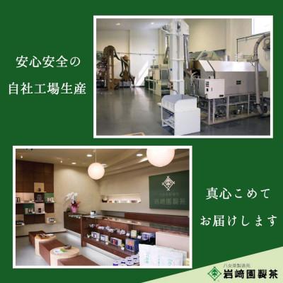 ふるさと納税 八女市 八女茶100% 家庭用業務用煎茶 1kg!(500g×2袋)_2