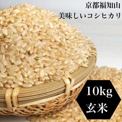 ふるさと納税 福知山市 [令和4年産]京都 福知山産こしひかり 玄米10kg 一般には流通していない特別なお米です。