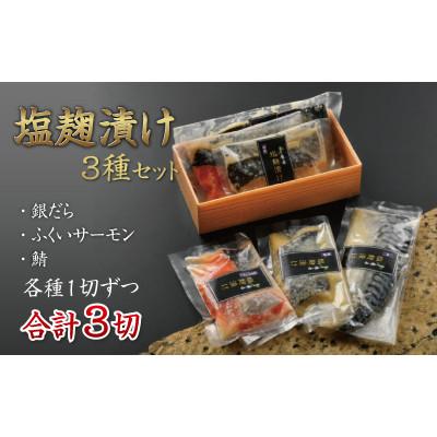 ふるさと納税 鯖江市 塩麹漬け 3種セット(銀だら・ふくいサーモン・鯖)