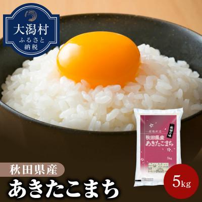 ふるさと納税 大潟村 秋田県産あきたこまち5kg【令和7年産】 : Yahoo