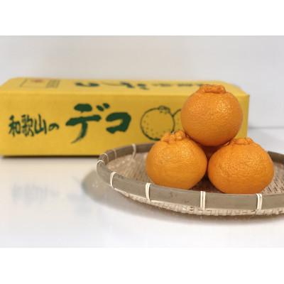 ふるさと納税 日高川町 特選不知火(4L)18玉